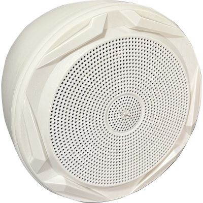 Audiolab PR-601TW 6" Duvar Hoparlörü 30 Watt/100V (Beyaz)