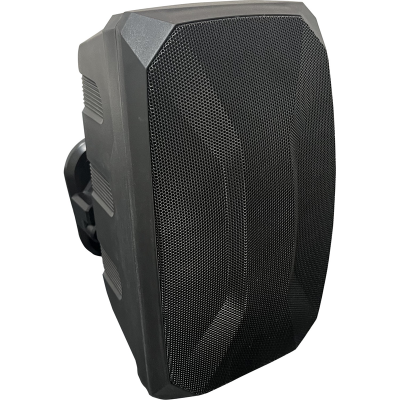 Audiolab AL-104BTS 4" Duvar Hoparlörü 30 Watt/100V/8 Ohm (Siyah)