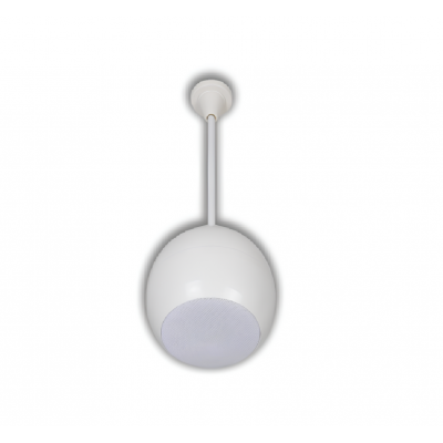 Dexun S-6 6" Sarkıt Hoparlör 50 Watt/100V