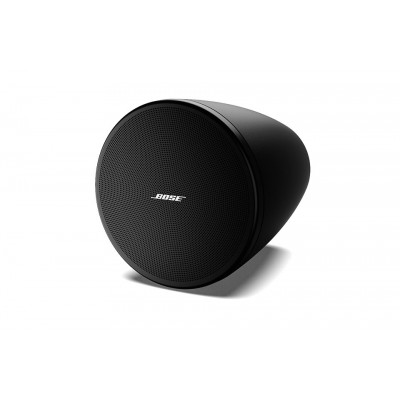Bose DesingMax DM6PE 5.25" Tavan Sarkıt Hoparlör 400 Watt/8 Ohm/100 V