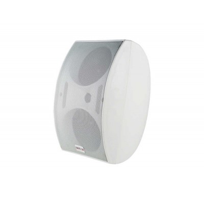 Decon DS-62D 2x 5.25" Duvar Hoparlörü 40 Watt/100V/8Ohm