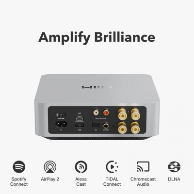 WiiM AMP Streaming Amplifier 2x120 Watt/ 4 ohm