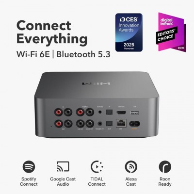 WiiM Ultra Wireless Bluetooth Network Player Oynatıcı