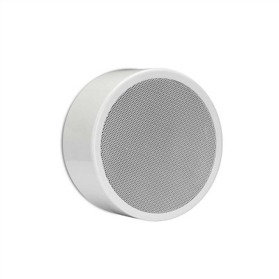 APART EN-SM-6T 6" Duvar Hoparlörü 10 Watt/100V
