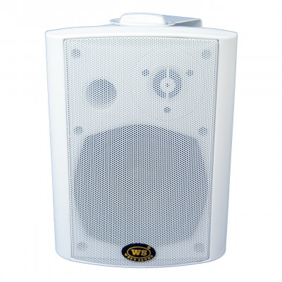 Ws Tech CONTROL 5-B  5" Duvar Hoparlörü 100 Watt/8ohm, 20 Watt/100V Beyaz
