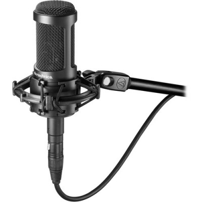 Audio Technica AT2050 Stüdyo Kayıt Mikrofonu