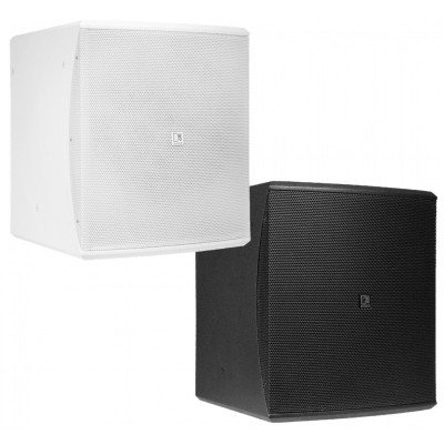 AUDAC BASO10 10" Pasif Subwoofer Hoparlör 550 Watt/ 8 Ohm