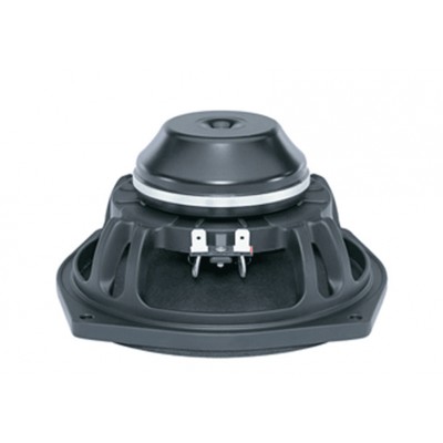 B&C 6NDL38 6 İnc Çıplak Hoparlör Neo 300 Watt