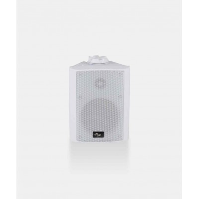 SSP Monitor 4W 4" Duvar Hoparlörü 50 Watt/8ohm 15 Watt/100V