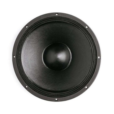 B&C 15PL40 15 İnc Çıplak Hoparlör 800 Watt