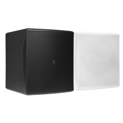 AUDAC BASO12 12" Pasif Subwoofer Hoparlör 1000 Watt/8 Ohm