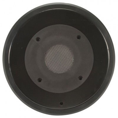 Eminence Psd 3006  2 İnc Tiz Driver Hoparlör 115 Watt