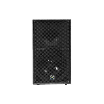 Topp Pro TPS i12H 12" Pasif Hoparlör 300 Watt