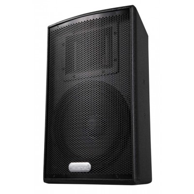 EFANPRO M110  10" Pasif Hoparlör 500 Watt