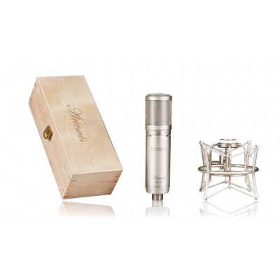 İcon Pro Audio ARTEMİS LD-2 Kondenser Stüdyo Kayıt Mikrofonu