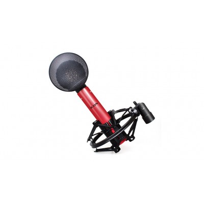İcon Pro Audio DRAGON Kondenser Stüdyo Kayıt Mikrofonu
