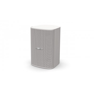 Bose DesignMax DM8SE 8" Duvar Hoparlörü 600 Watt/8 Ohm