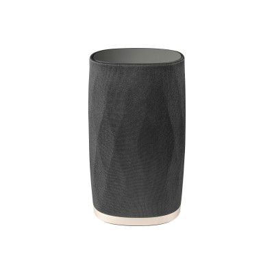 Bowers & Wilkins FORMATION FLEX 4" Bluetooh Kablosuz Hoparlör 100 Watt