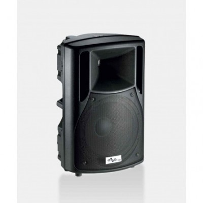 SSP Audio FS10 10" Pasif Hoparlör 120 Watt