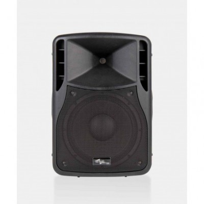 SSP Audio FS12 12" Pasif Hoparlör 180 Watt