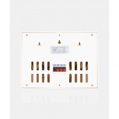 SSP Box 204 2x4" Duvar Hoparlörü 20 Watt/100V