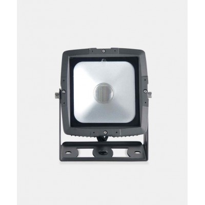 SSP COB FLOOD 60 WP Profesyonel Led Boyama 60 Watt