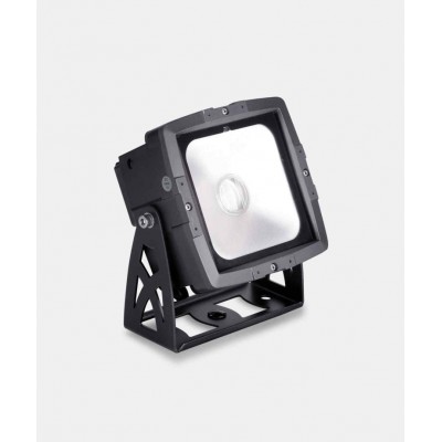 SSP COB FLOOD 60 WP Profesyonel Led Boyama 60 Watt