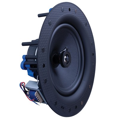 Beale Street IC8V-BSC 8" Tweeter Hoparlör