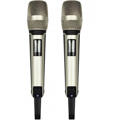 Gold Audio PRO-9300EE 2 li Kablosuz El Mikrofonu