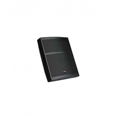SSP Audio PR310MK3 8" Pasif Hoparlör 100 Watt