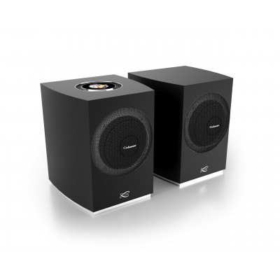  Cabasse RIALTO Bookshelf Ev Sinema Tip Hoparlör 300 Watt 