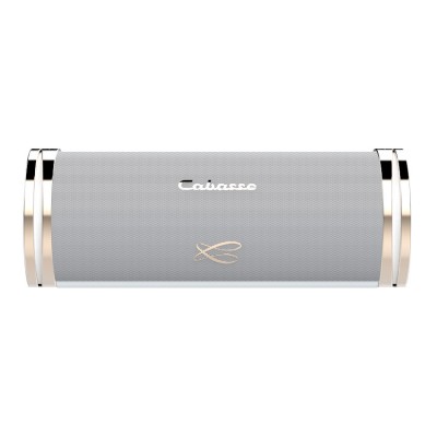 Cabasse SWELL Bluetooth Hoparlör