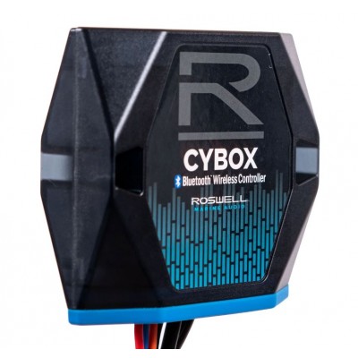 Roswell Marine Cybox Bluetooth Receiver 