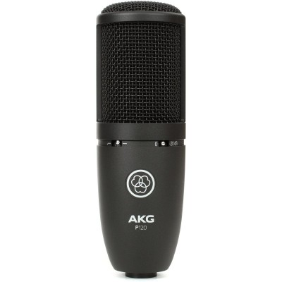 AKG P120 Stüdyo Kayıt Mikrofonu