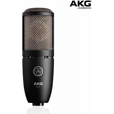 AKG P220 Stüdyo Kayıt Mikrofonu